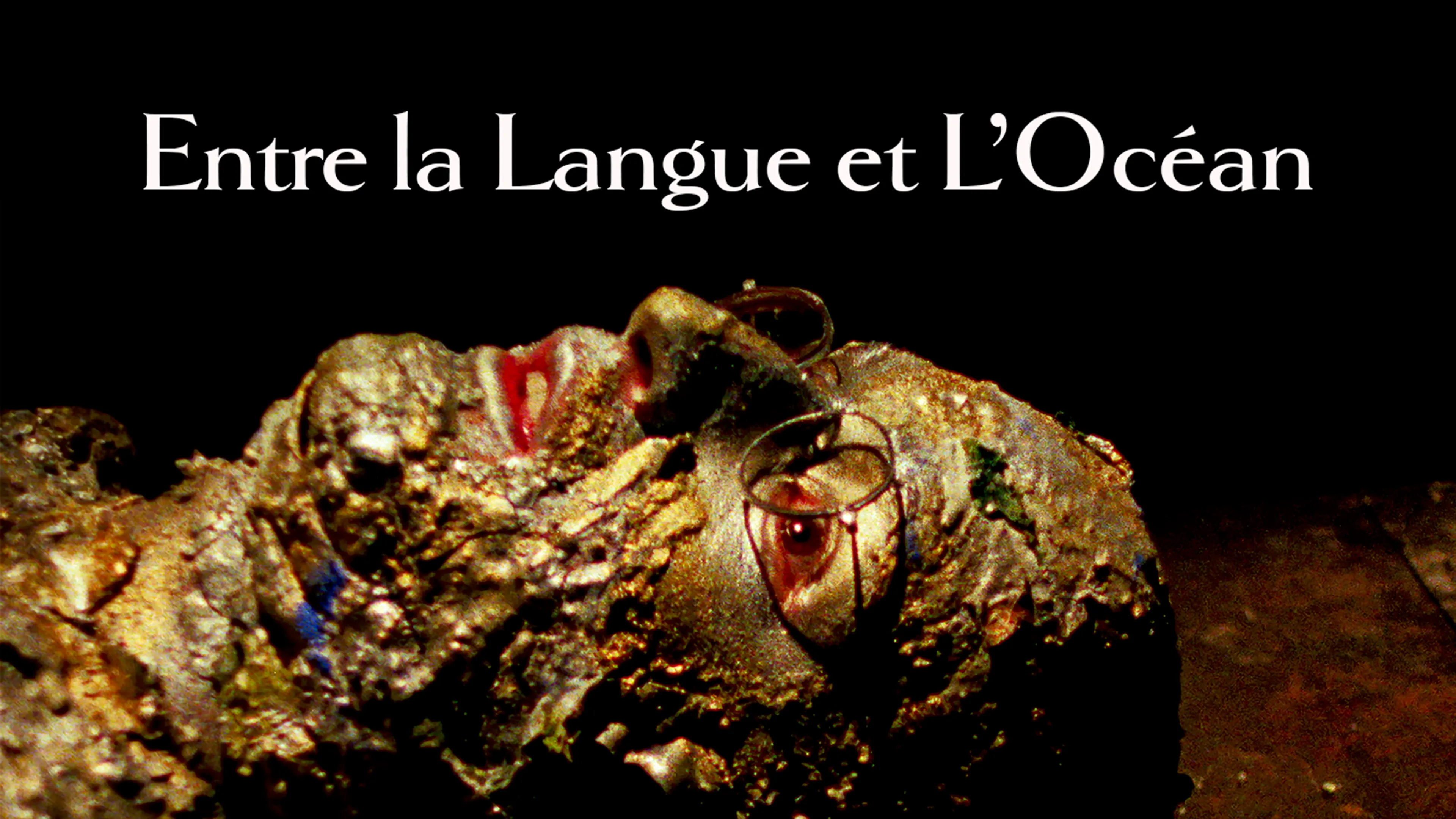 Entre la Langue et L’Océan poster